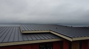 Best Solar Panel Roofing Installation  in Parshall, ND